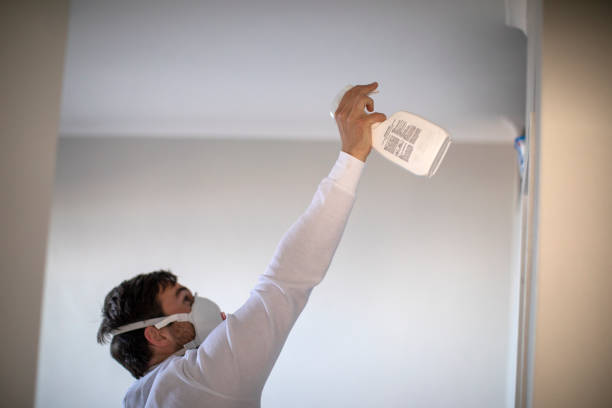 Best Affordable Mold Removal  in Butte, AK