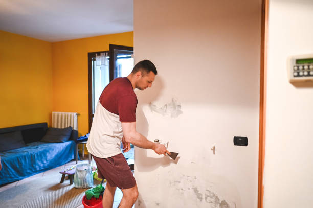 Best Mold Removal Near Me  in Butte, AK